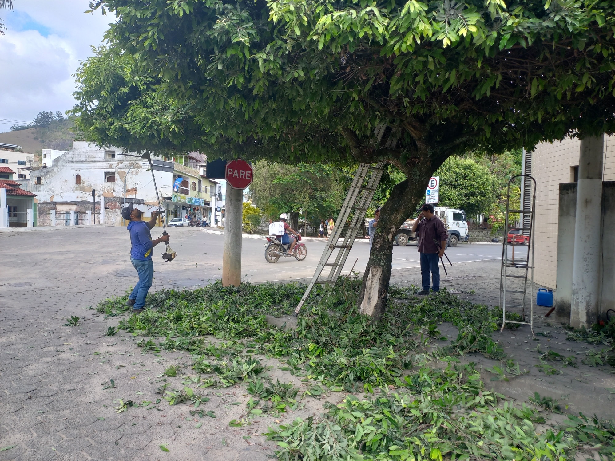 PREFEITURA REALIZA PODA DE ÁRVORES NA ÁREA URBANA DA CIDADE