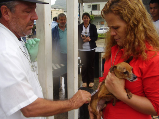 Saúde já vacinou mais de três mil animais contra a raiva