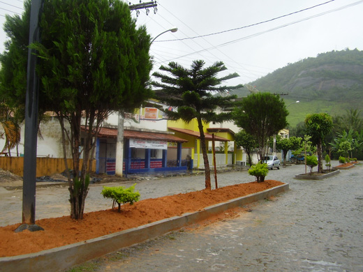 Secretaria Municipal de Agricultura realiza revitalização dos canteiros da cidade