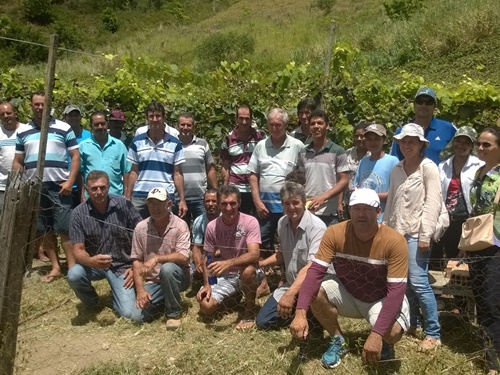 Diversificação na Agricultura Familiar em Ecoporanga